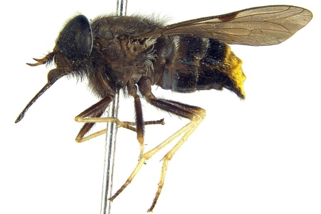 1326457834_0.jpg