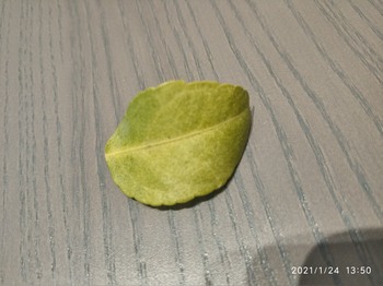 1329ff1367744704.jpg