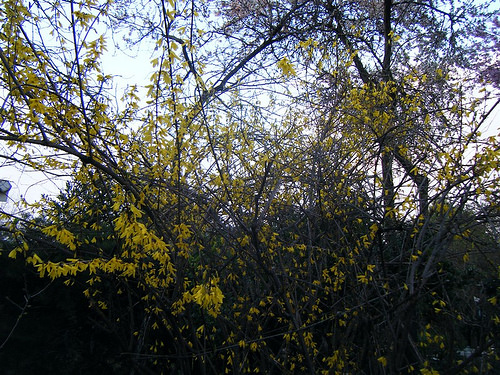 13350003615_dafbbff30e.jpg