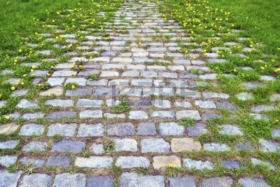 13486082-camino-empedrado-escenico-con-hierba-verde-y-brotes-de-diente-de-leon-por-la-primavera.jpg