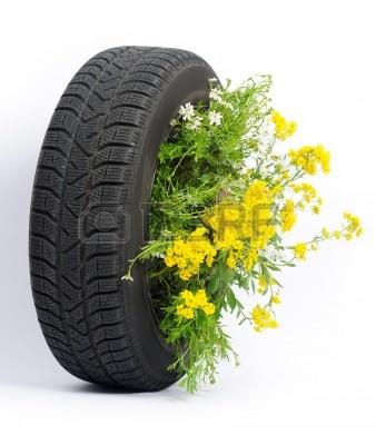13614065-rueda-con-flores.jpg