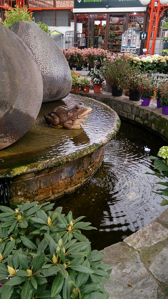 13638784905_5eccc0638f_b.jpg