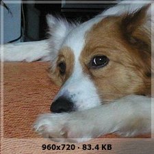 136459d583dad379d7393e920ce7734ao.jpg