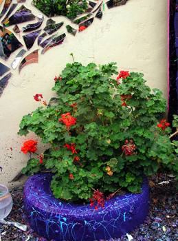 13_002.jpg