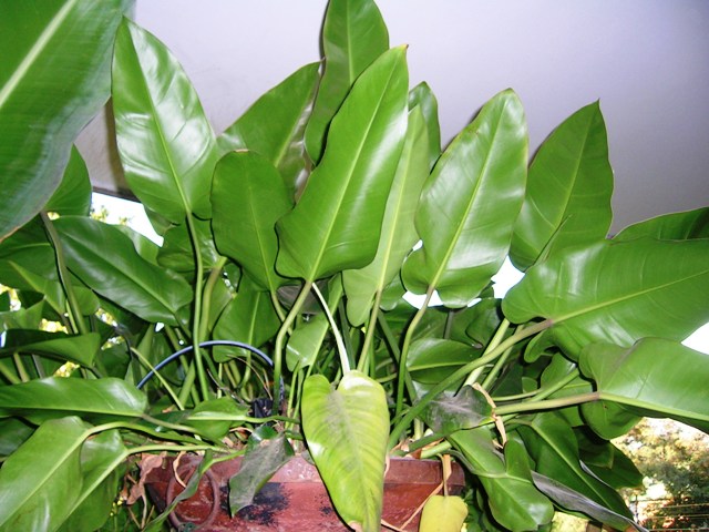 13_marzo_07_005.jpg