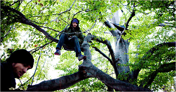 13trees-span-articleLarge.jpg