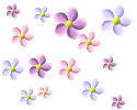 13zn59j.jpg