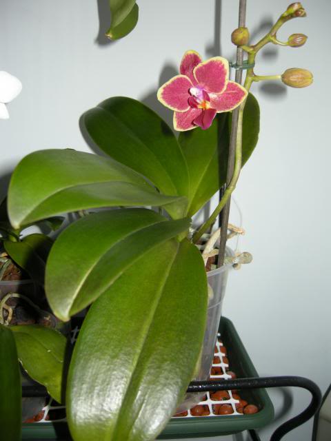 14-03-2014137_zps47067931.jpg