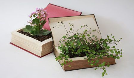 14-formas-curiosas-de-reciclar-cosas-viejas-maceta-con-libros.jpg