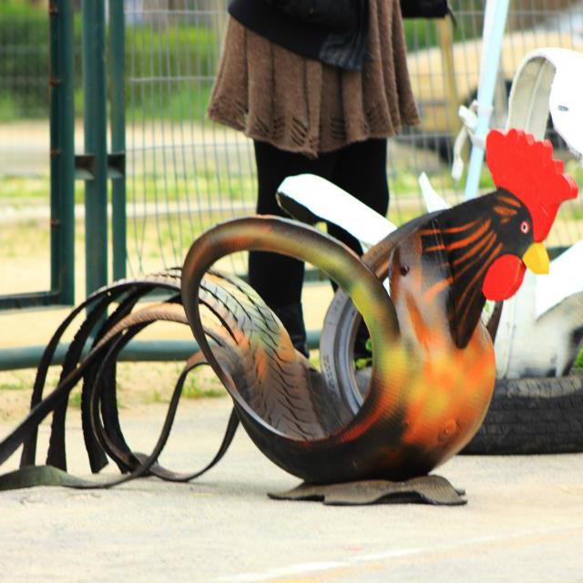 14-gallo.jpg