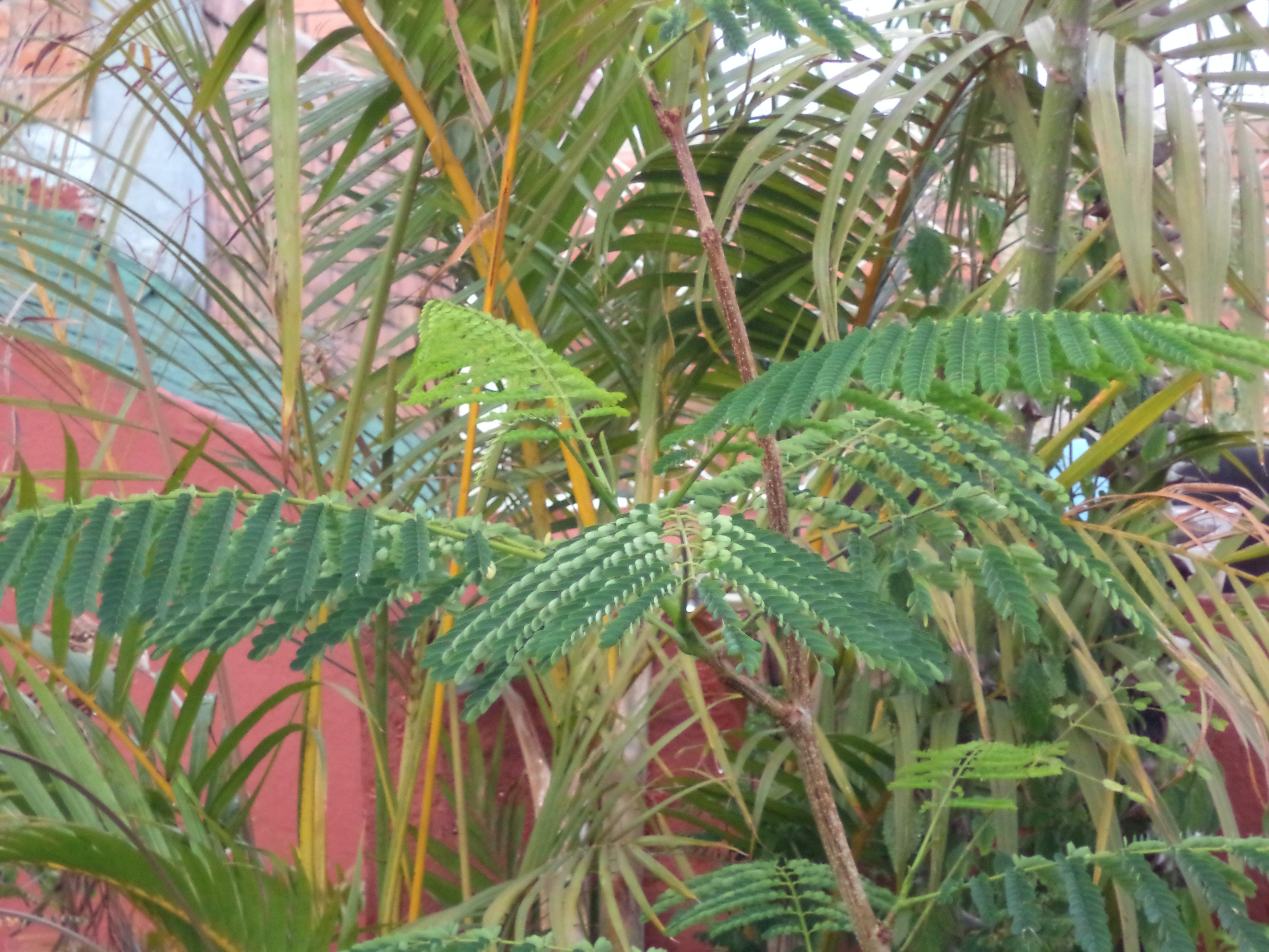 14012973064_23bdd1e03c_o.jpg