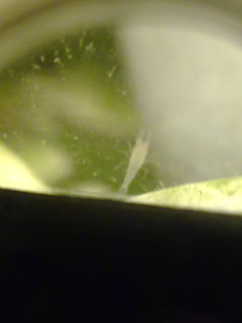 140220111174.jpg