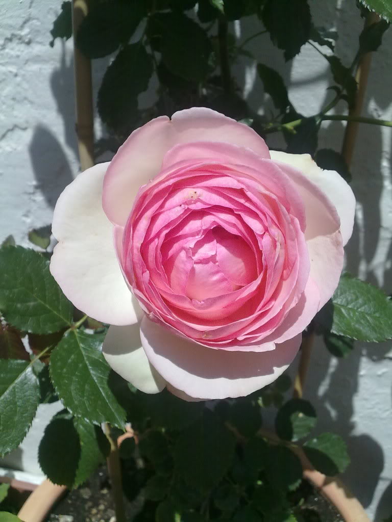 140520111880.jpg