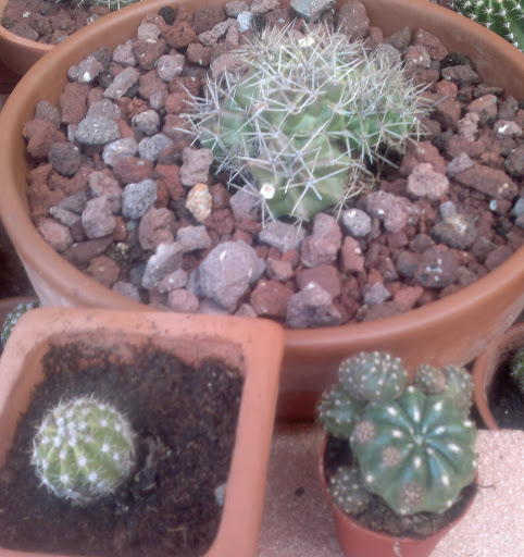 14052011744.jpg