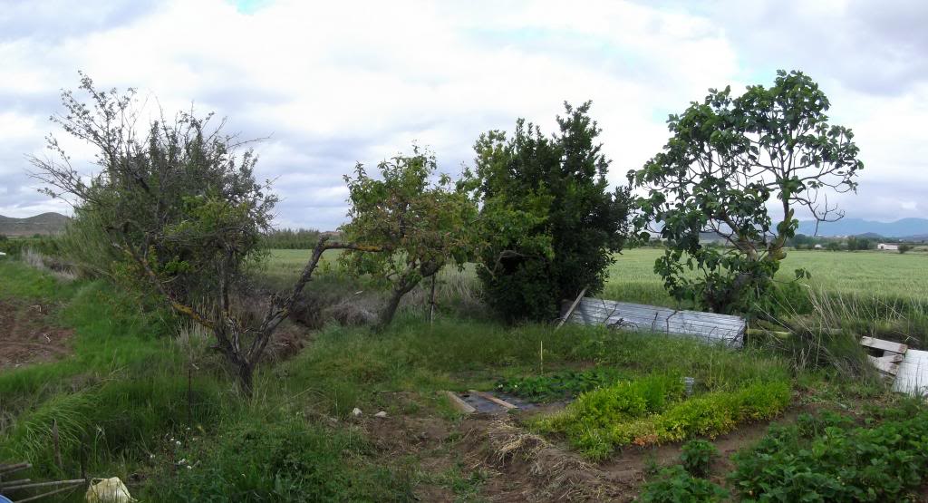 140528pano1.jpg