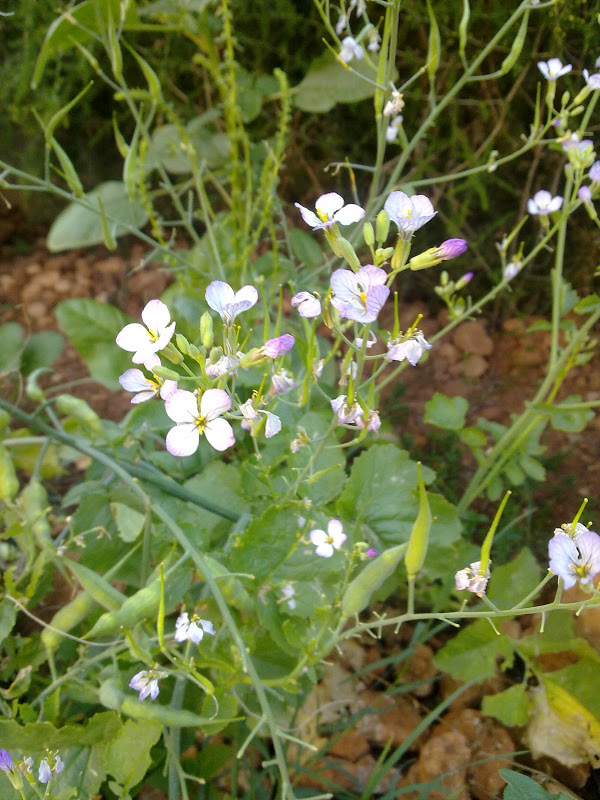 14062011244.jpg