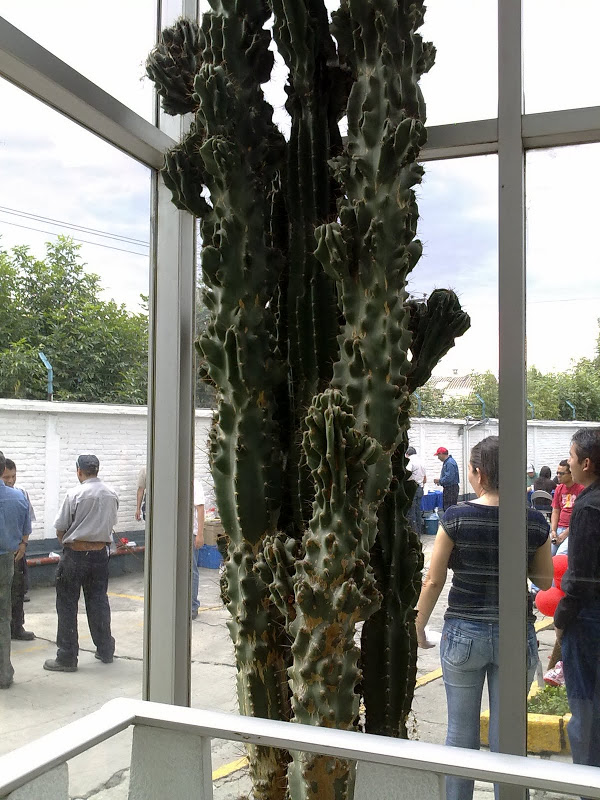 14062012420.jpg