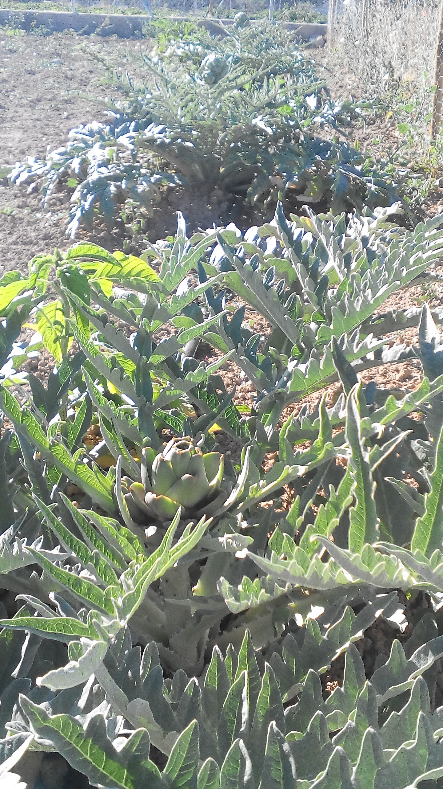140703012411614791.jpg