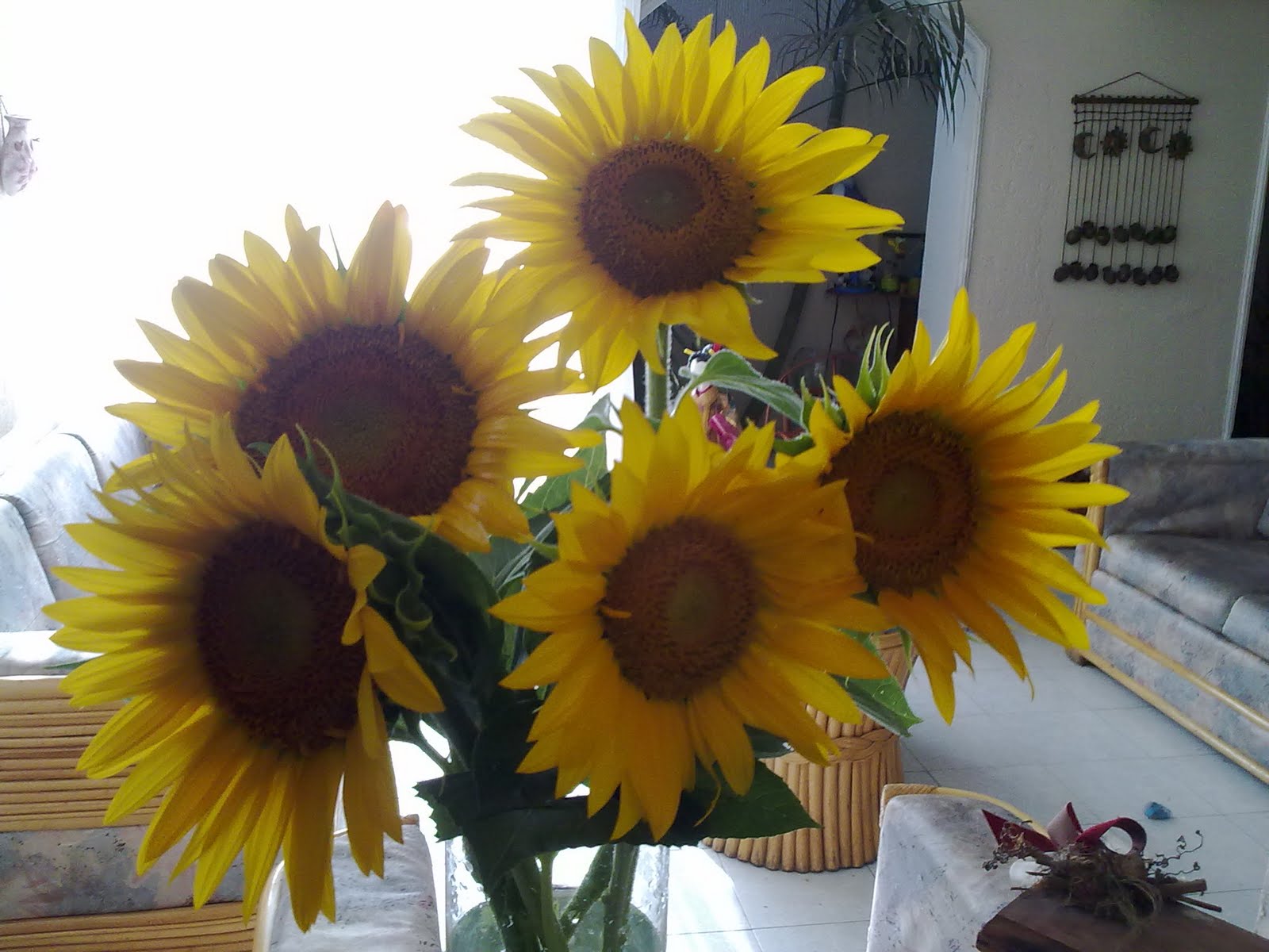 140720101477.jpg