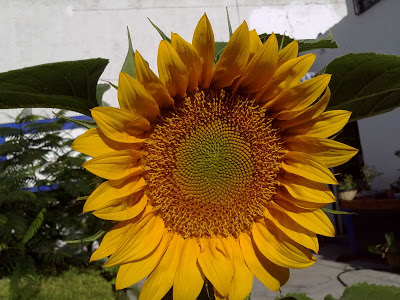140720101485.jpg
