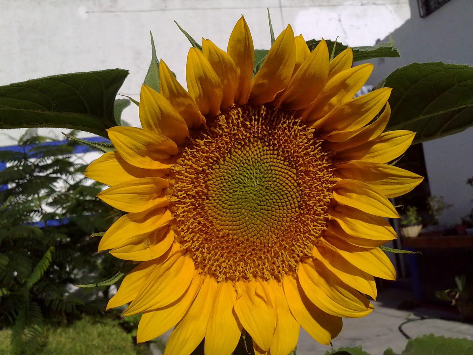 140720101485.jpg
