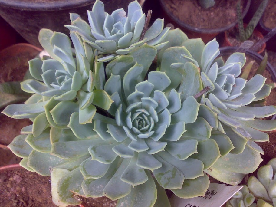 140920118596.jpg
