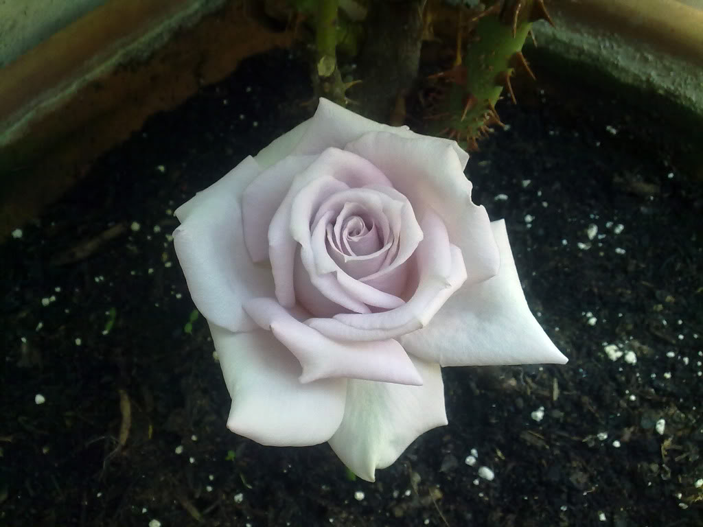 141020112411.jpg