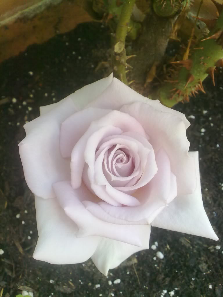 141020112413.jpg