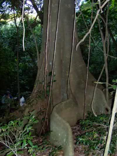 141r5o6.jpg