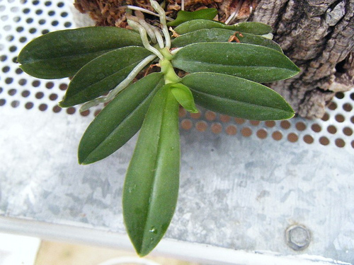 14233442336_cd19917d75.jpg