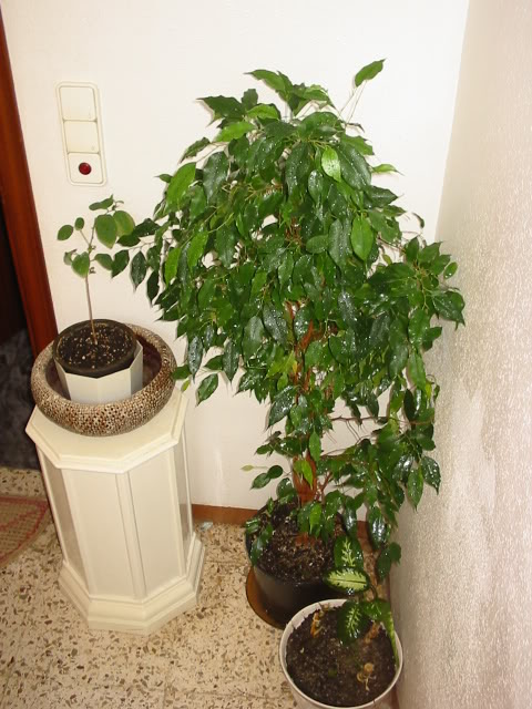 142_4229.jpg