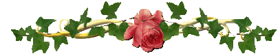 14386h1.gif