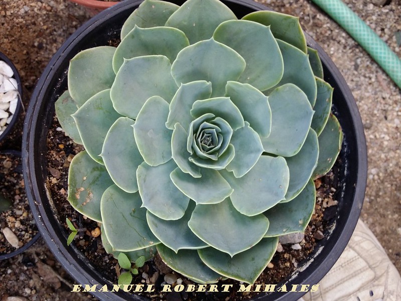 14442613699_804d9ea967_c.jpg