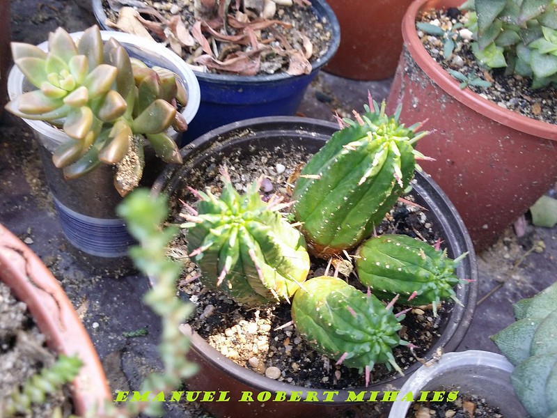 14442665100_ccca99dae2_c.jpg