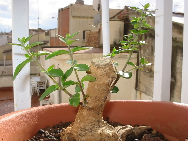 144_44390.jpg