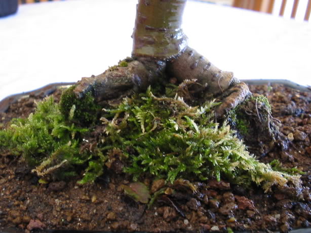 144_4454.jpg