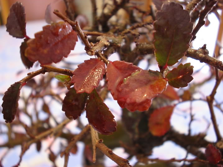 144_4456.jpg