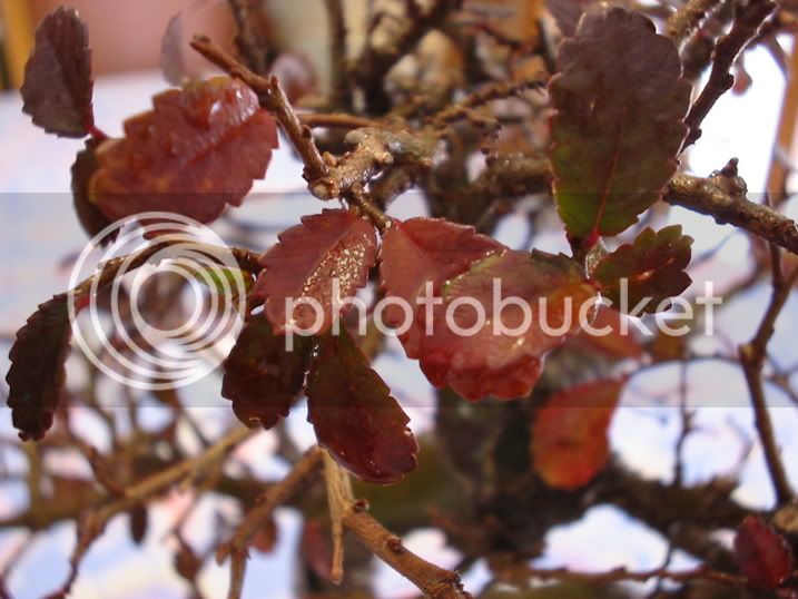 144_4456.jpg