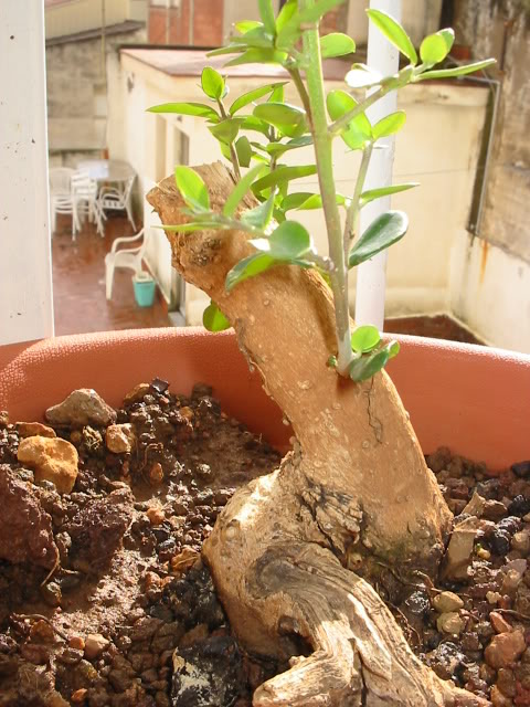144_44932.jpg