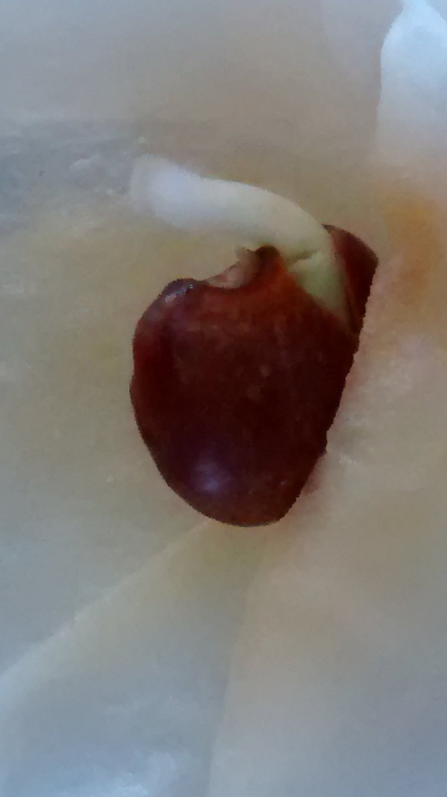 14845945318_4d9a060733_k.jpg