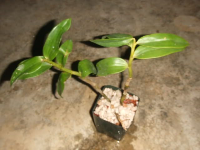 149.jpg