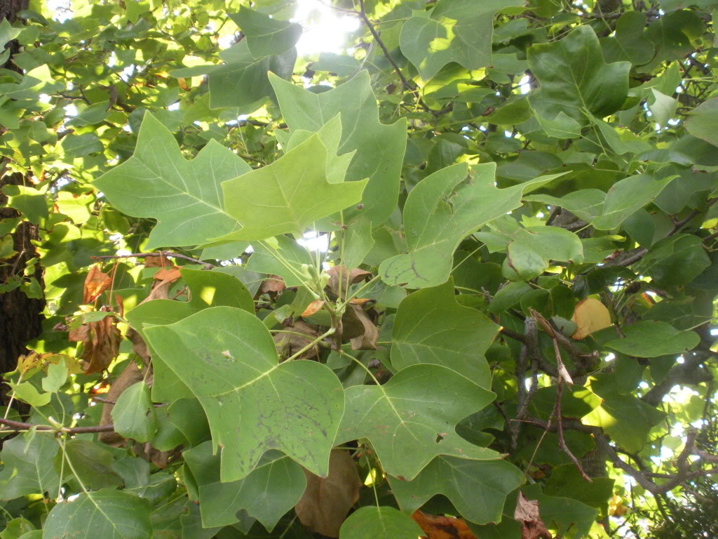 14f46739.jpg