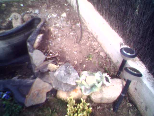 15-02-06_1154.jpg