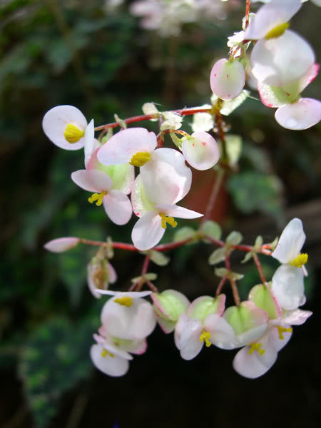 15-03-07-029-B.jpg