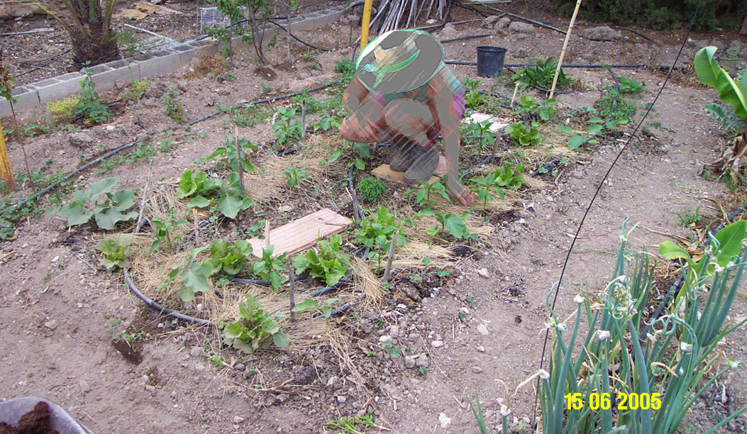 15.6.05.jpg