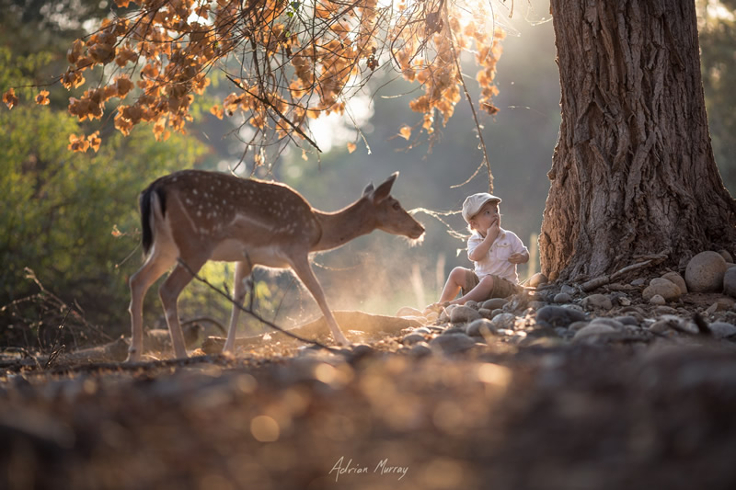 15-Adrian-Murray.jpg