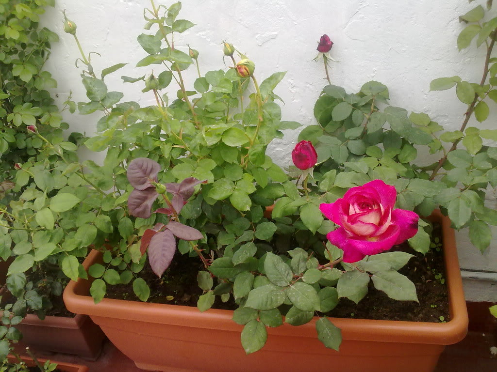 150420111403.jpg