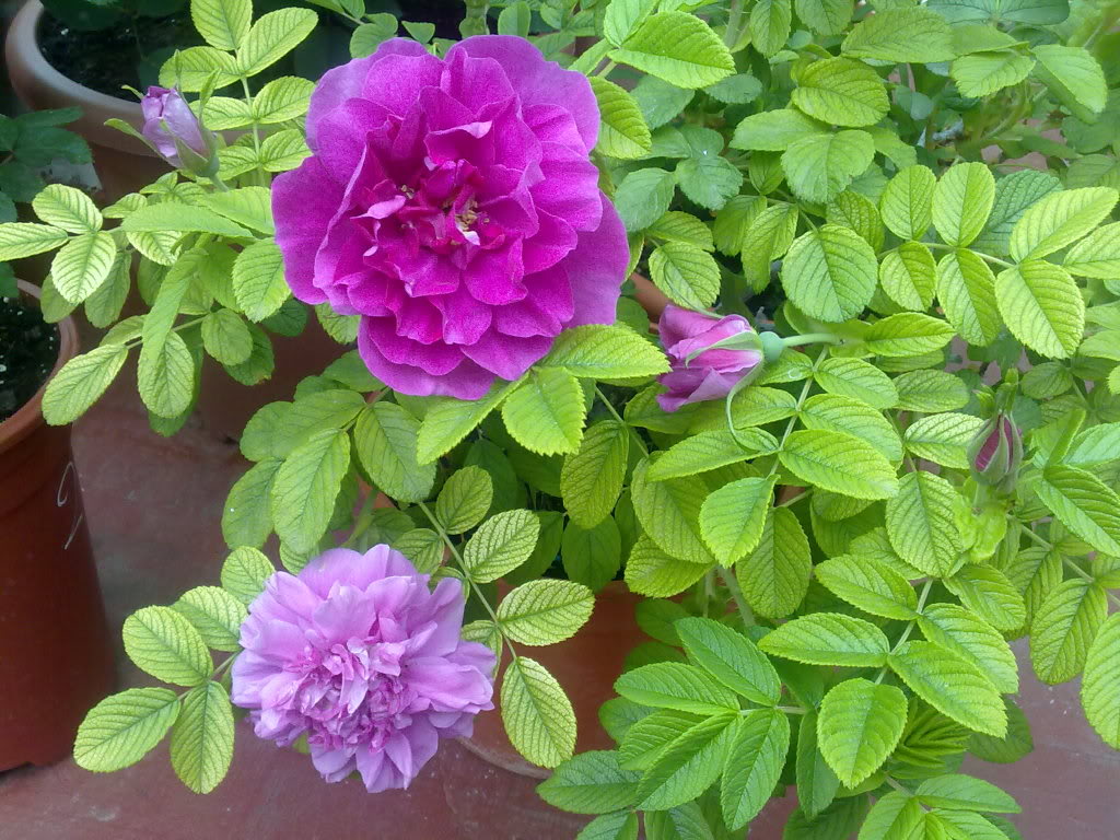 150420111410.jpg