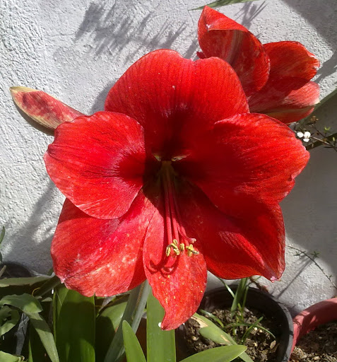 150420121299.jpg