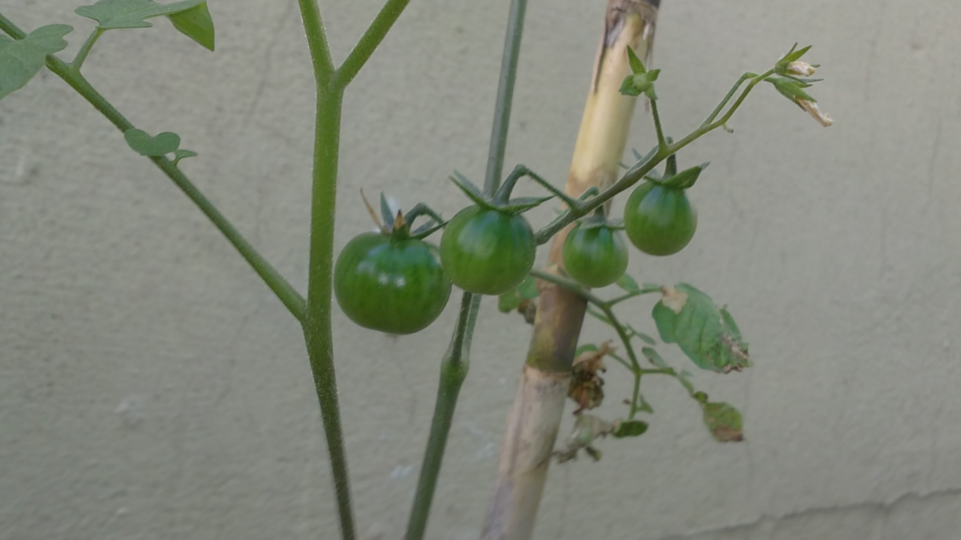 15052011159.jpg